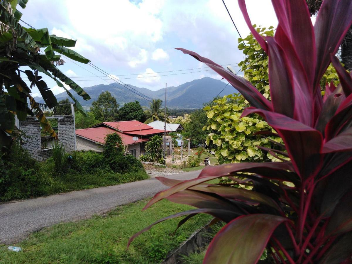 Homestay Haji Hamid パンタイ・サナング エクステリア 写真